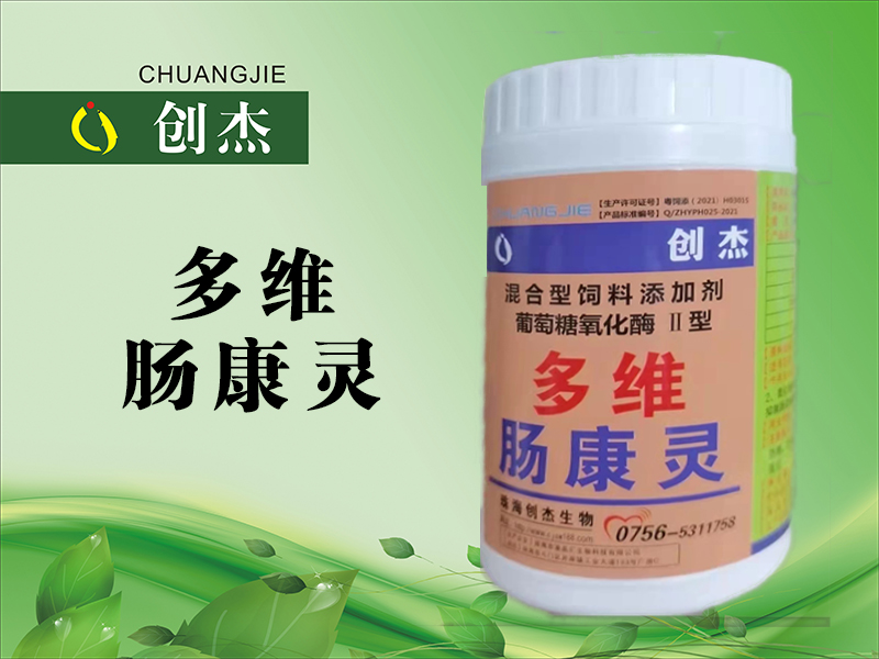 <b>多维 肠康灵</b>