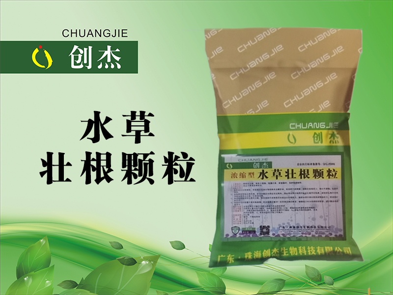 <b>水草 壮根颗粒</b>