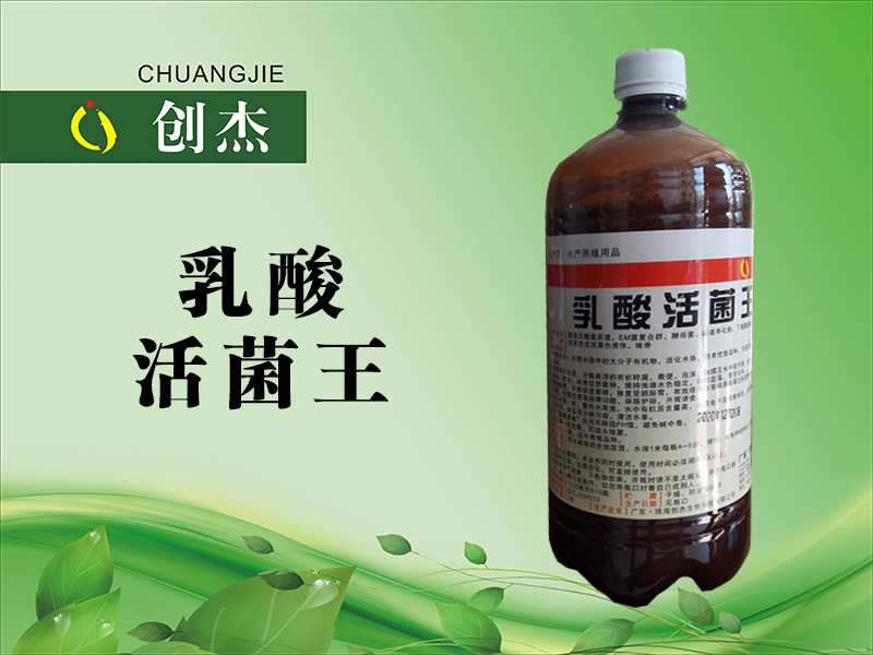 <b>乳酸 活菌王</b>